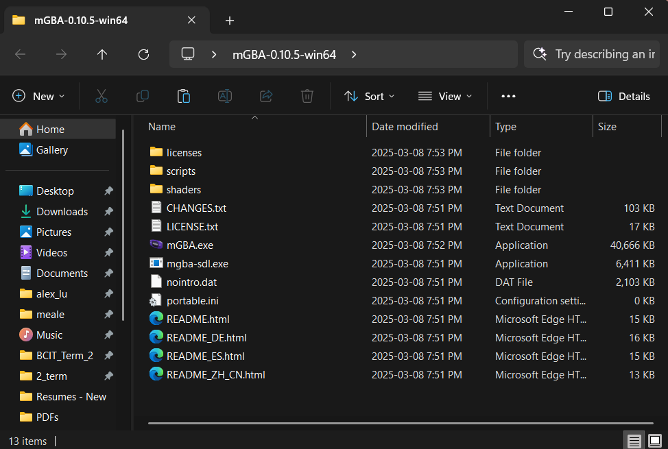 mGBA portable folder